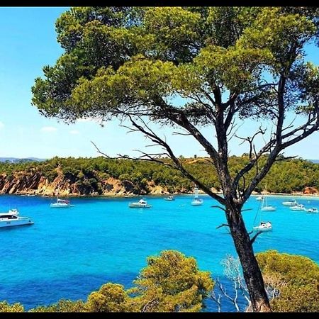 Appartement Pieds Dans L'Eau Vue Mer Bormes Les Mimosas Exterior foto