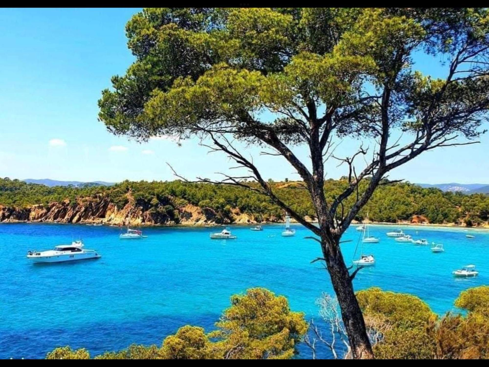 Appartement Pieds Dans L'Eau Vue Mer Bormes Les Mimosas Exterior foto